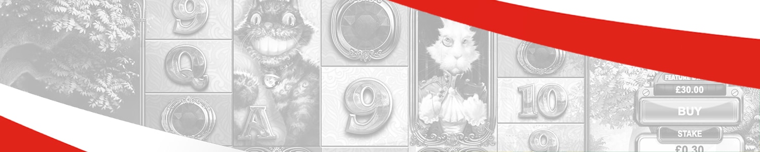 możliwość gry w free play w demo slot White Rabbit