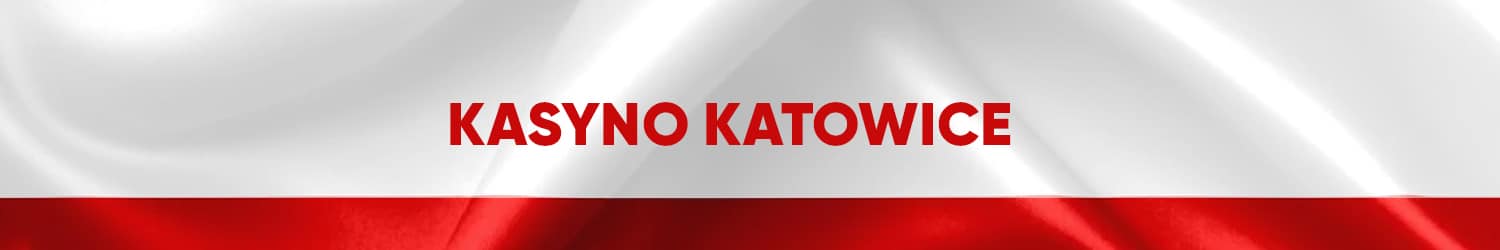 Katowice to szybko rozwijający się region Śląska, pełen zakładów pracy i fabryk, co przyciąga wielu ludzi.